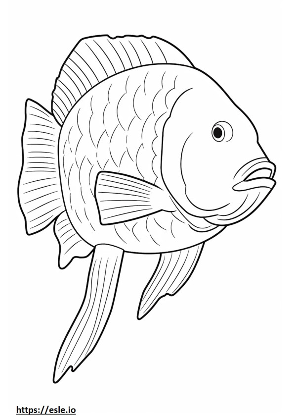 Archerfish koko vartalo värityskuva