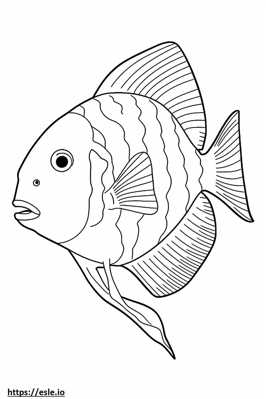 Archerfish całe ciało kolorowanka
