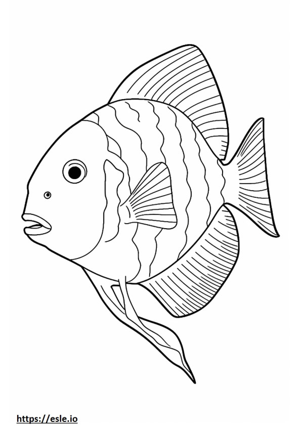 Archerfish full body coloring page