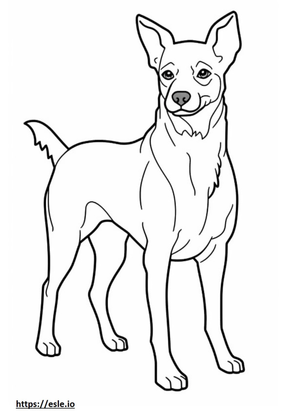 Rat Terrier cute coloring page