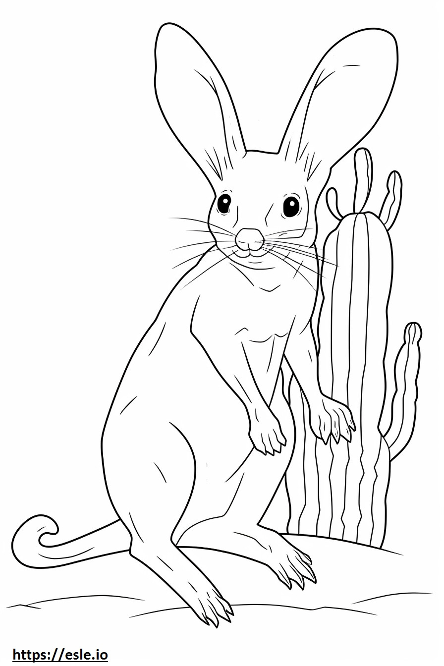 Jerboa full body coloring page