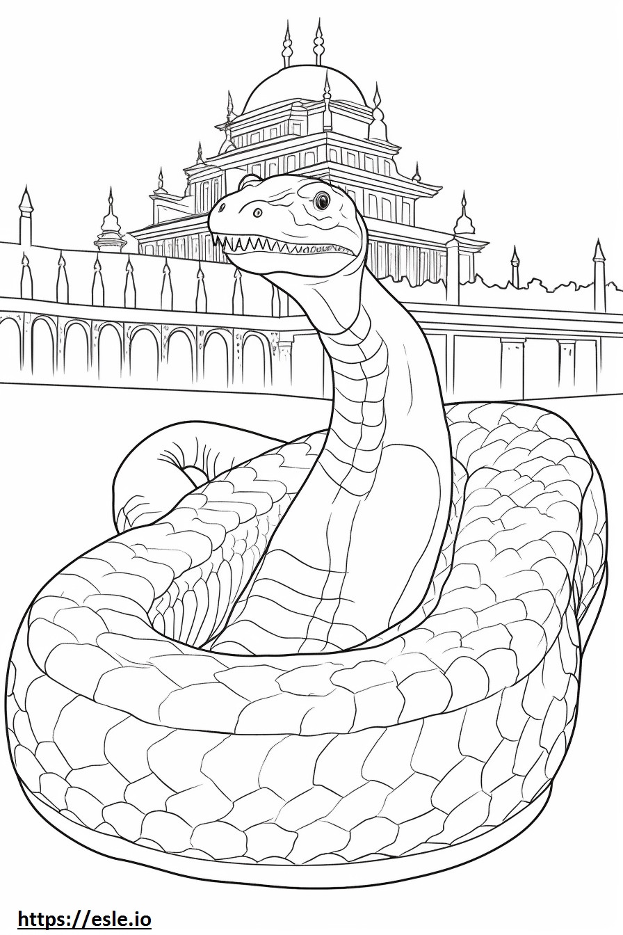 Burmese Python cute coloring page