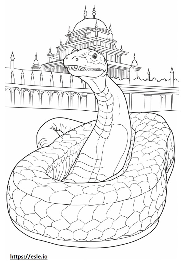 Birmaanse Python schattig kleurplaat
