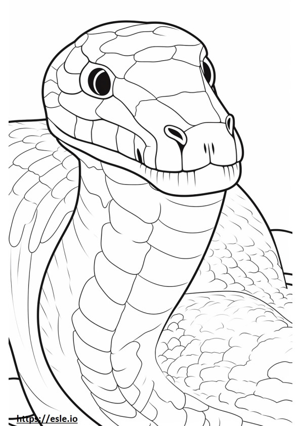 Python birmanês fofo para colorir