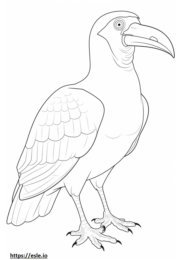 Hornbill koko vartalo värityskuva