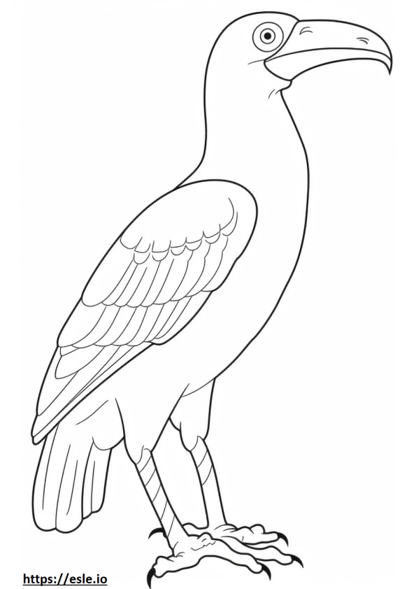 Hornbill full body coloring page