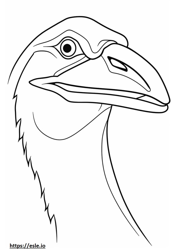 Herring Gull face coloring page