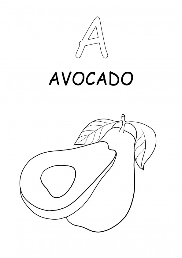 Uppercase A letter is for avocado word coloring and free downloading sheet