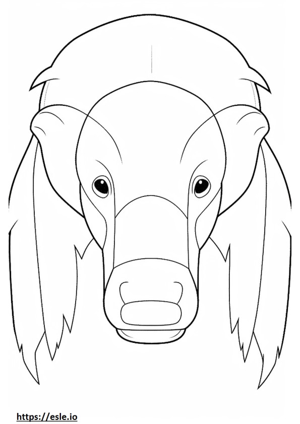 Honey Badger face coloring page