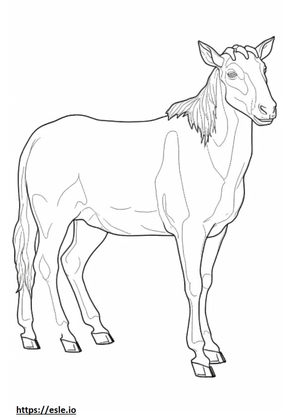 Fainting Goat full body coloring page