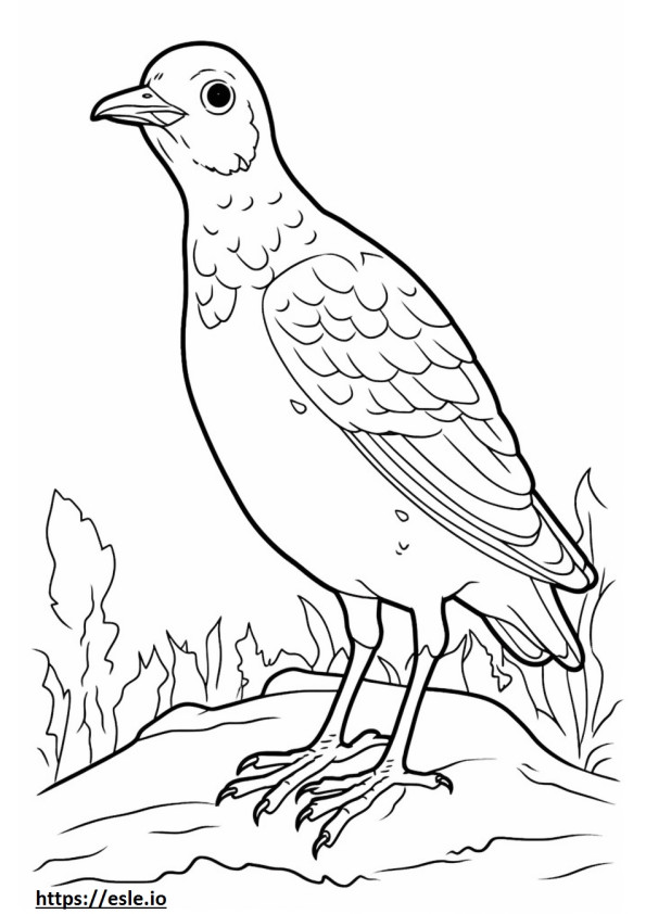 Song Thrush cute coloring page