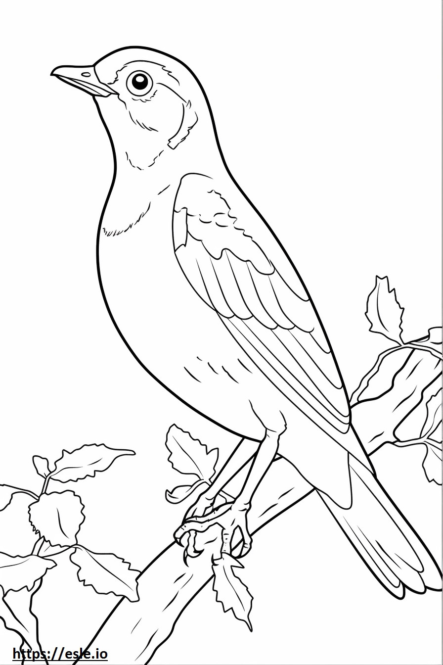 Song Thrush cute coloring page