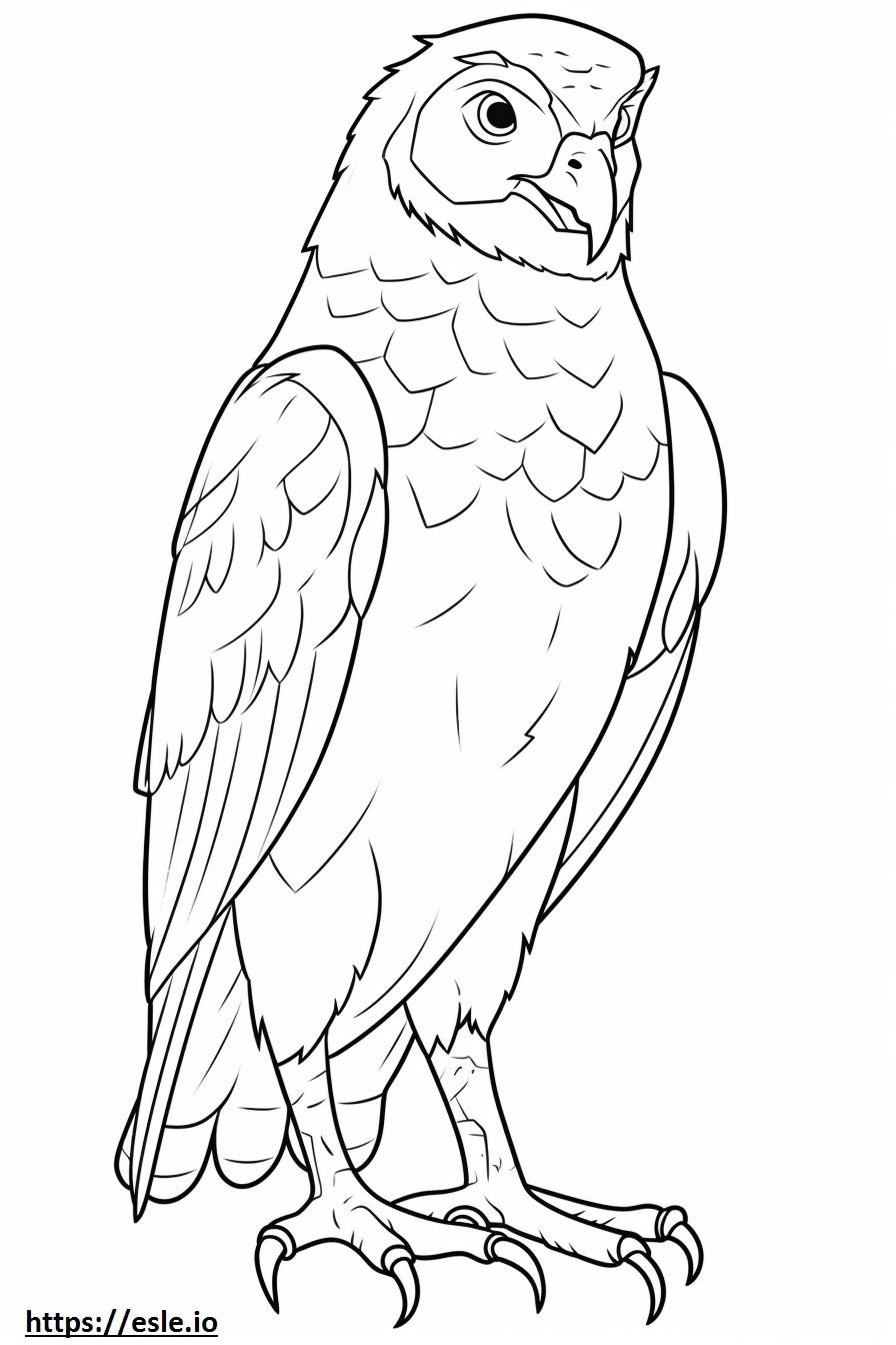 Tawny Owl tot corpul de colorat