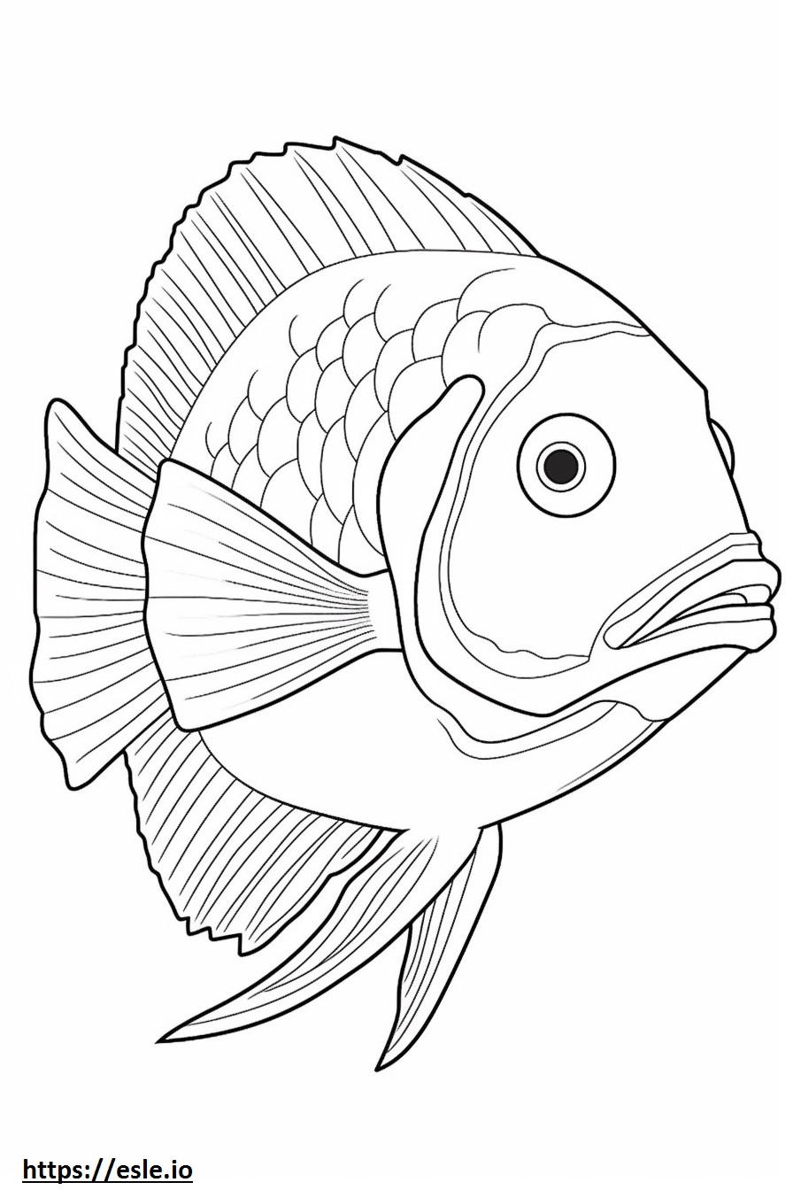 Squirrelfish face coloring page