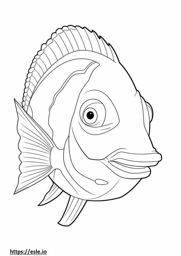 Squirrelfish face coloring page