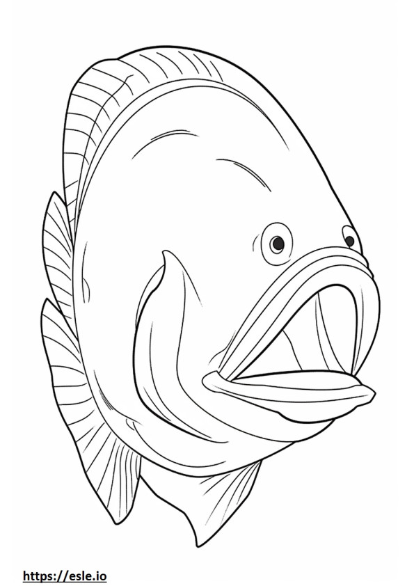 Roodlipvleermuisvis gezicht kleurplaat