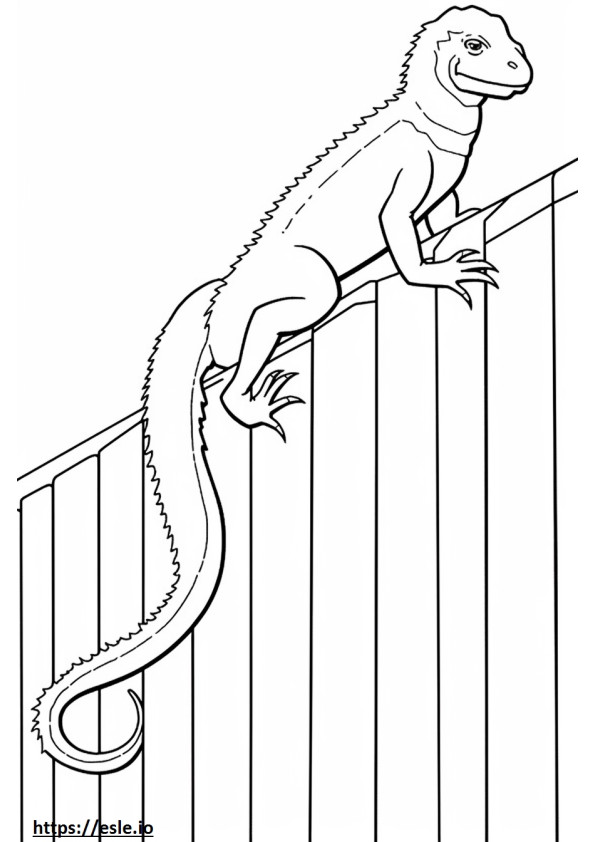 Corpo inteiro do lagarto da cerca oriental para colorir