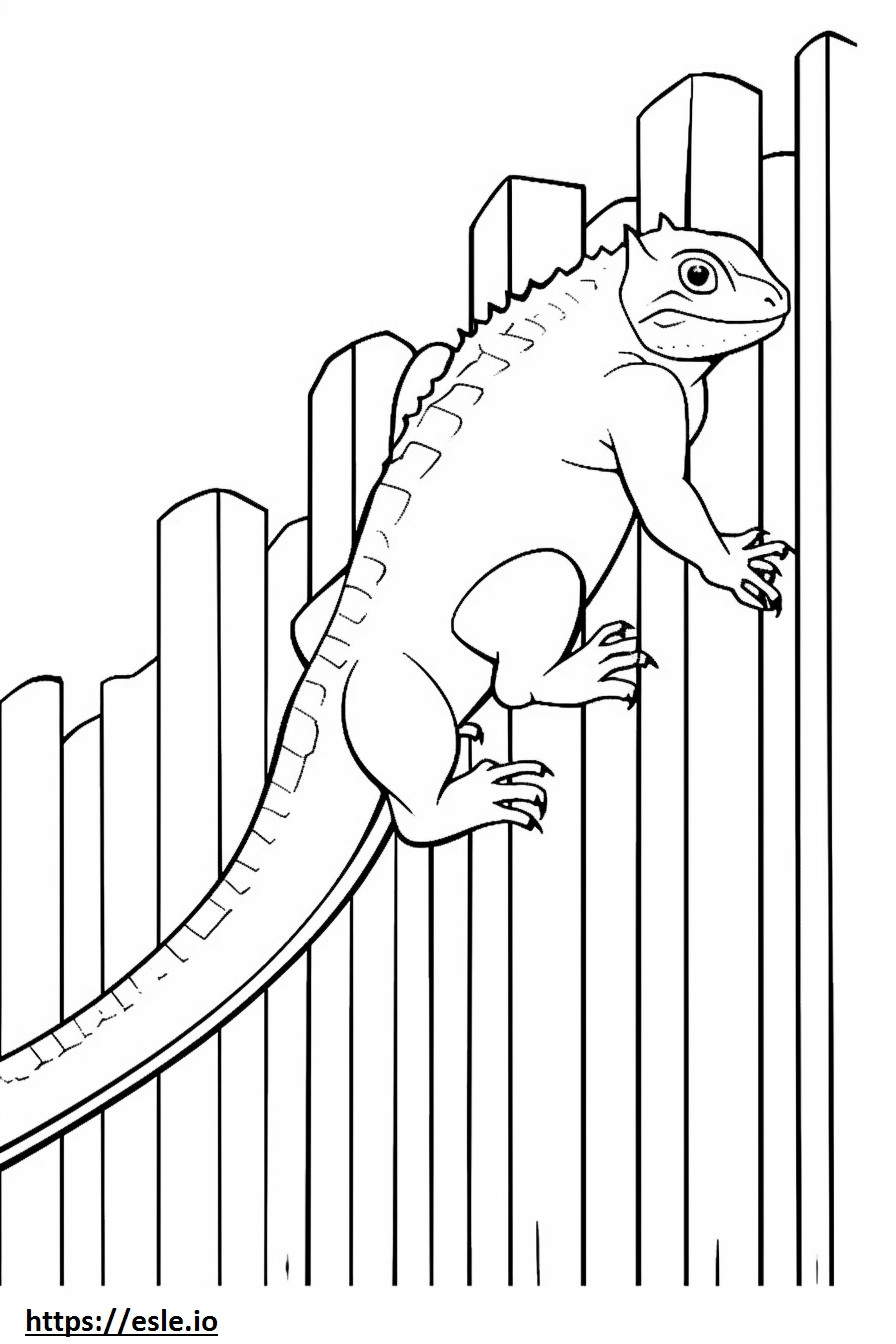 Eastern Fence Lizard, volledig lichaam kleurplaat kleurplaat
