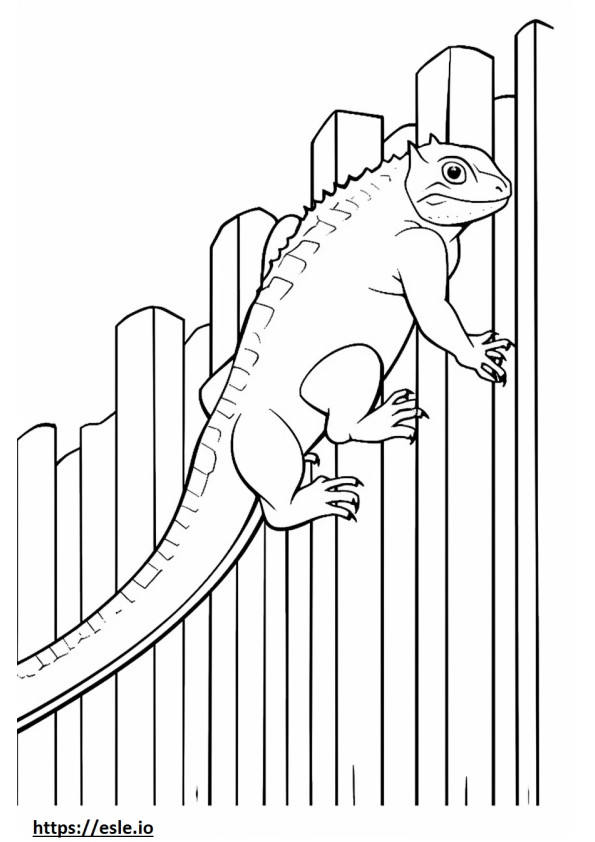 Eastern Fence Lizard, volledig lichaam kleurplaat
