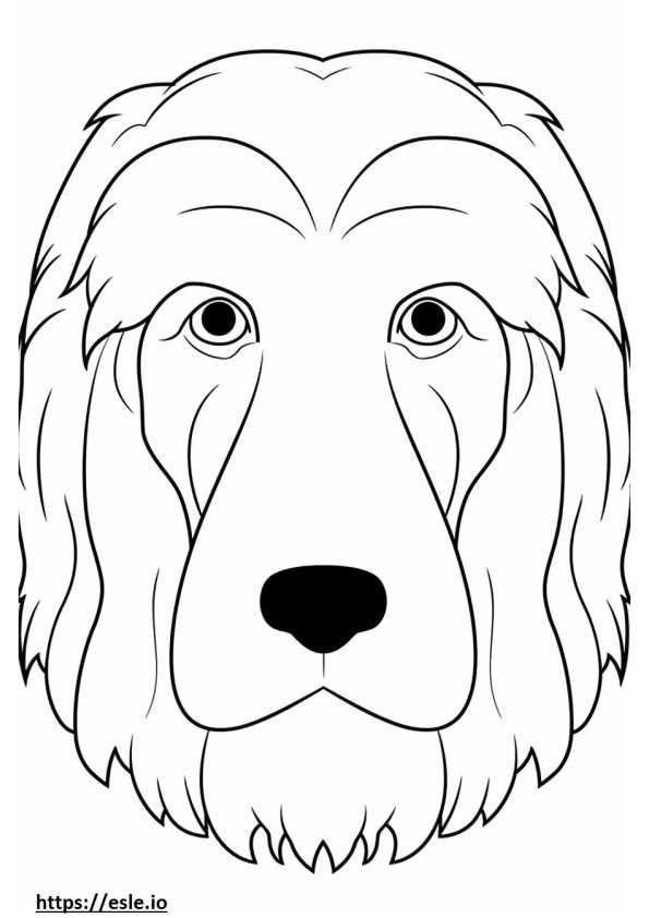 Cara de cão pastor inglês velho para colorir