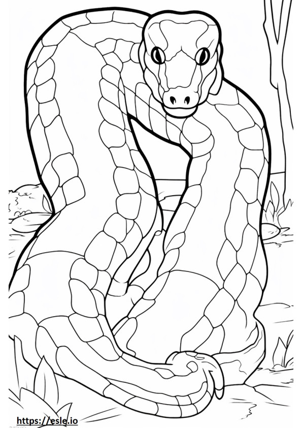 Bush Viper cute coloring page