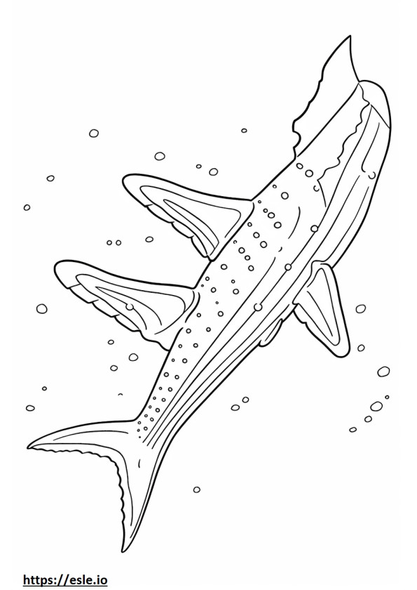 Corpo intero dello squalo balena da colorare