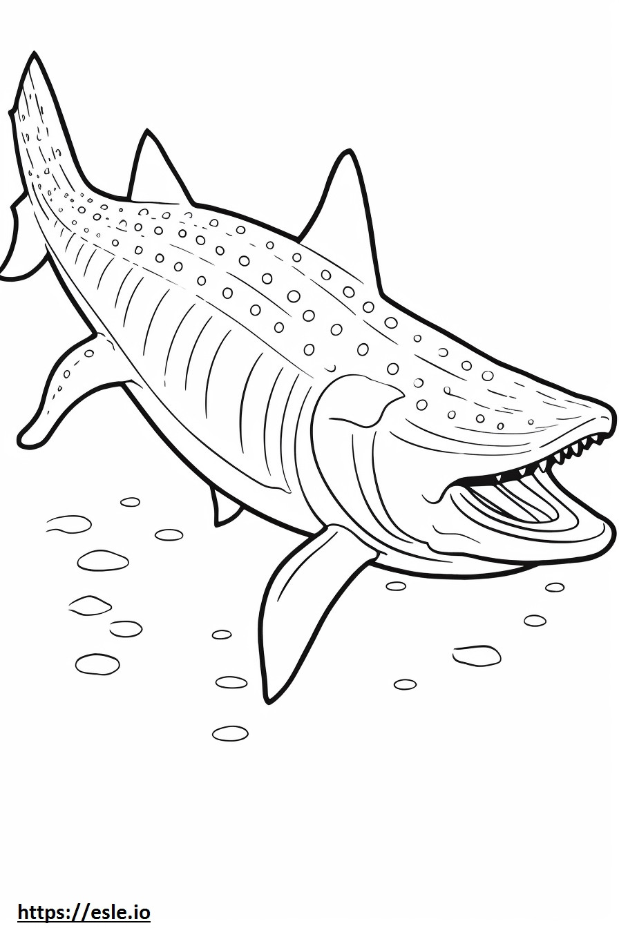 Corpo inteiro de tubarão-baleia para colorir