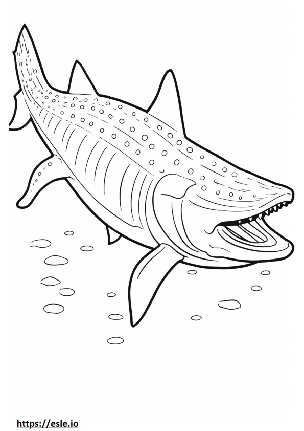 Tiburón ballena de cuerpo completo para colorear e imprimir