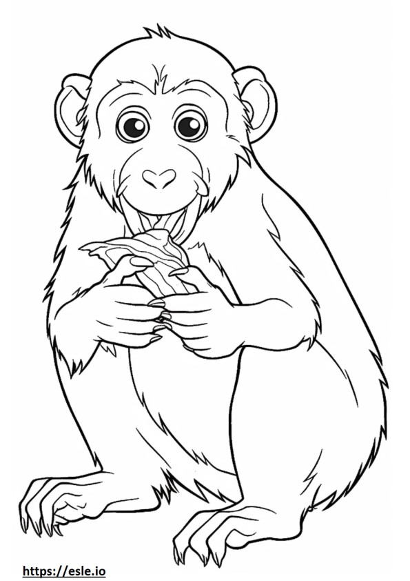 Macaco Comedor de Caranguejo Kawaii para colorir