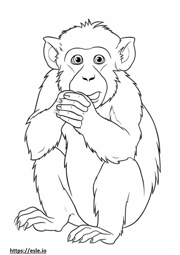 Macaco cangrejero kawaii para colorear e imprimir