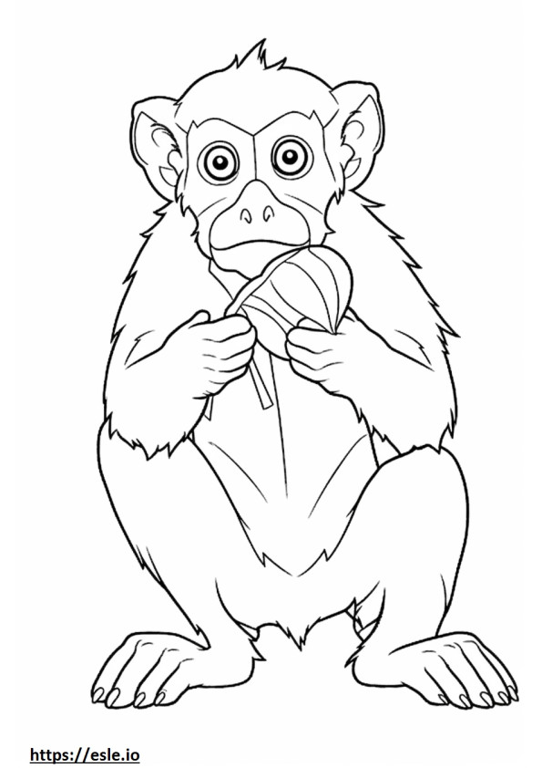 Coloriage Macaque crabier Kawaii à imprimer