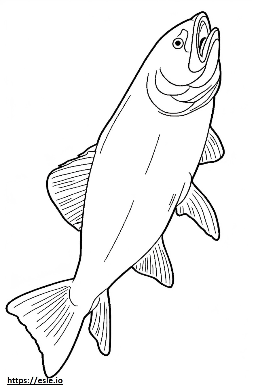 Corpo inteiro de salmão truta prateada para colorir