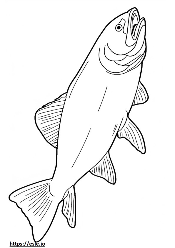 Seluruh tubuh Steelhead Salmon gambar mewarnai