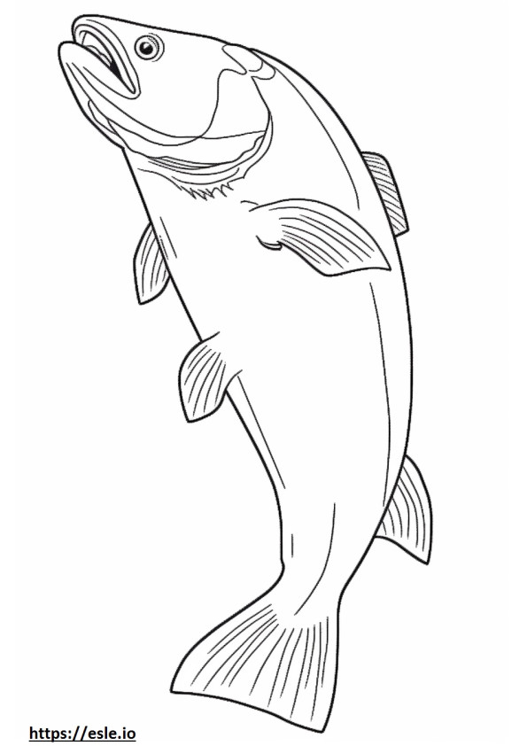 Steelhead Salmon full body coloring page