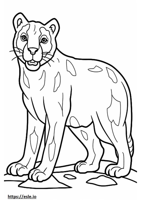 Catahoula Leopard Kawaii szinező