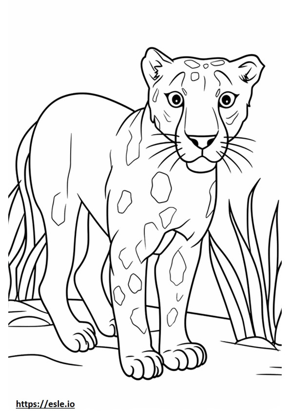 Catahoula Leopardo Kawaii para colorir