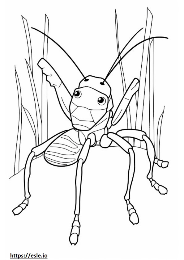Grasshopper Mouse cute coloring page