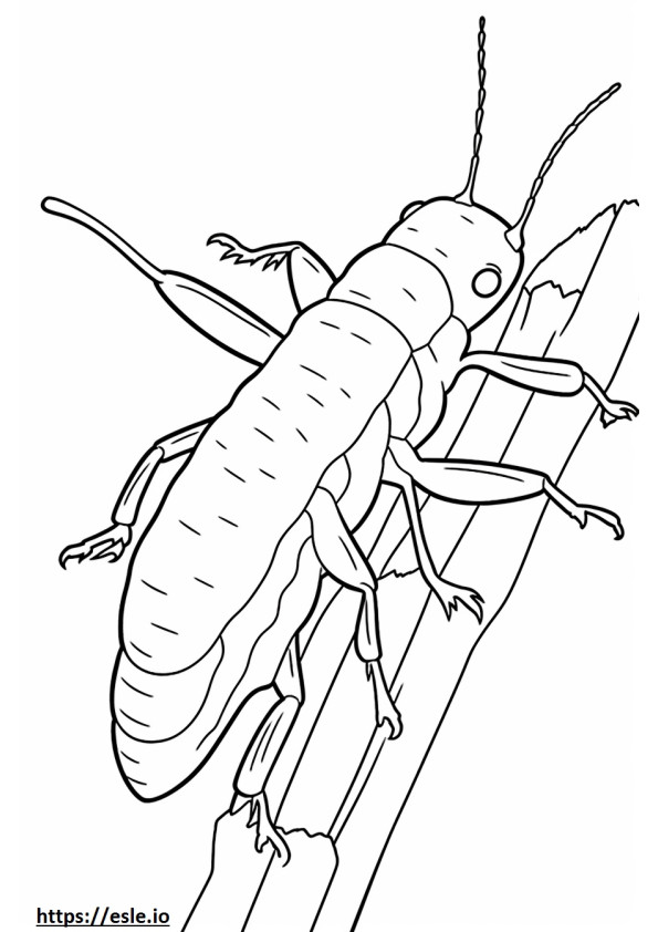Grasshopper Mouse cute coloring page