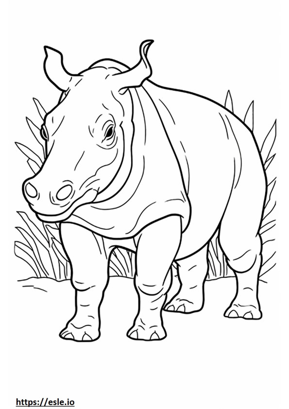 Rinoceronte de Sumatra fofo para colorir