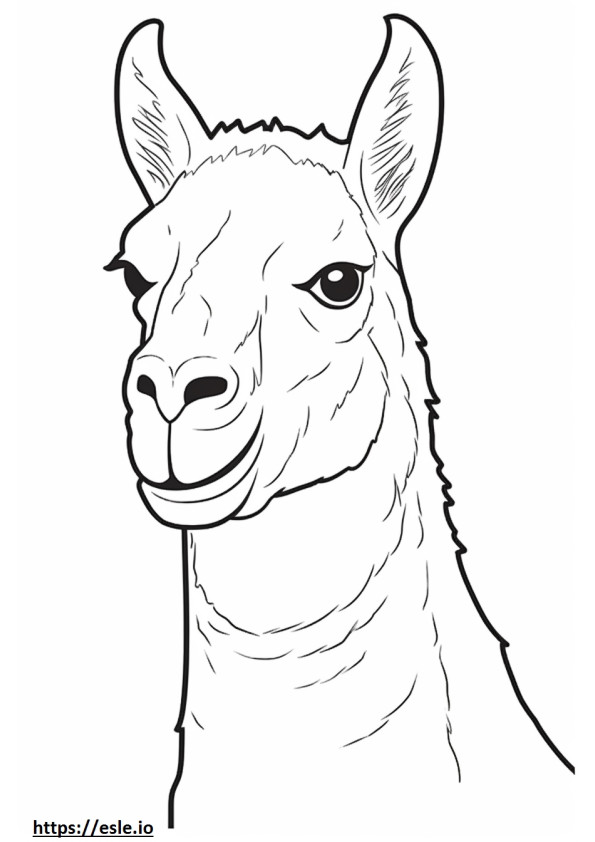 Llama face coloring page