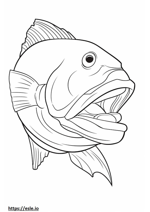 Snook Fish face coloring page