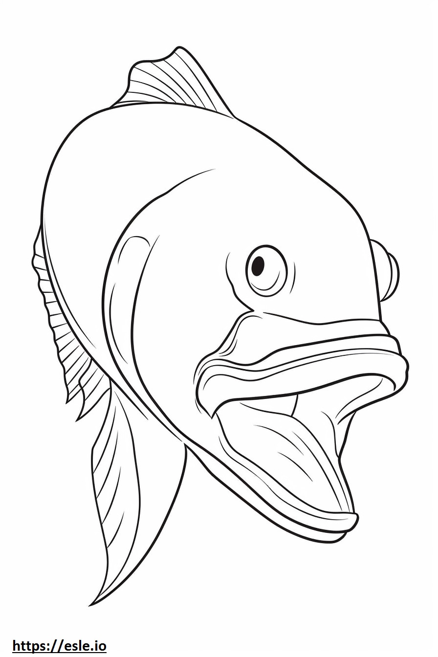 Snook Fish face coloring page