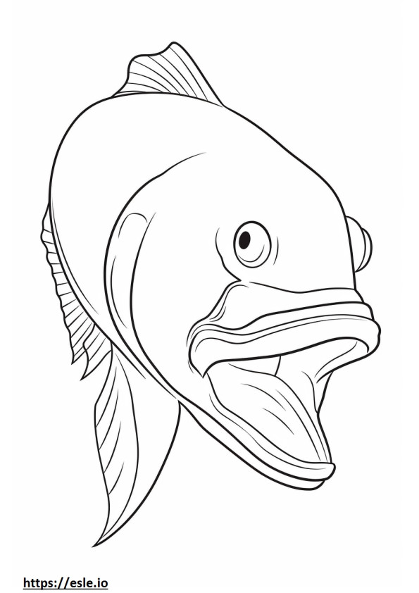 Cara de peixe robalo para colorir