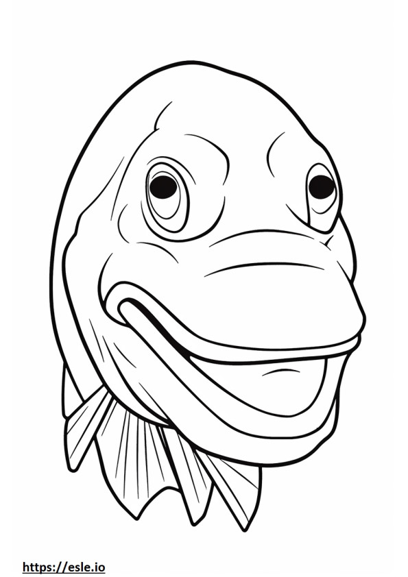 Snook Fish arcát szinező