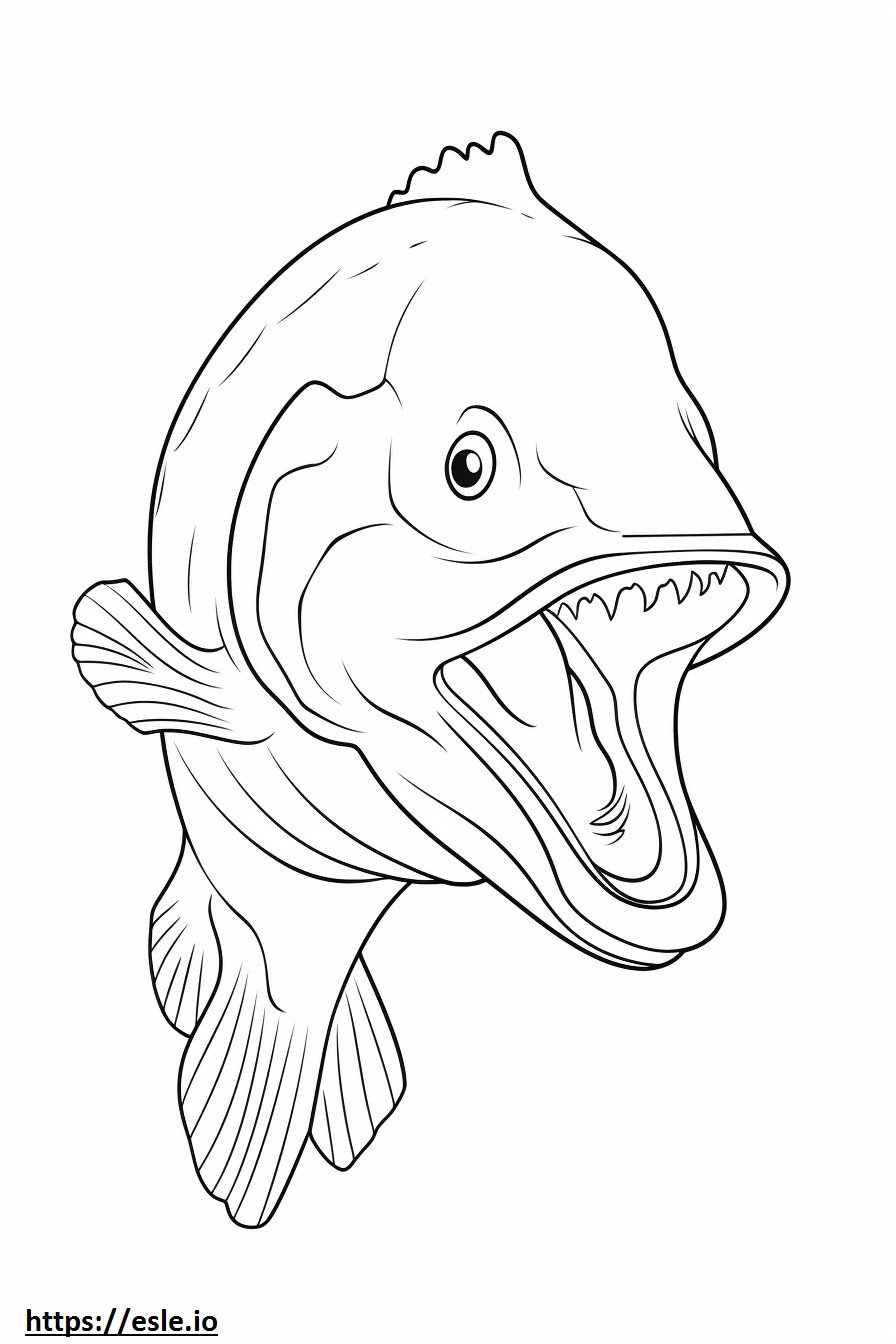 Cara de peixe robalo para colorir