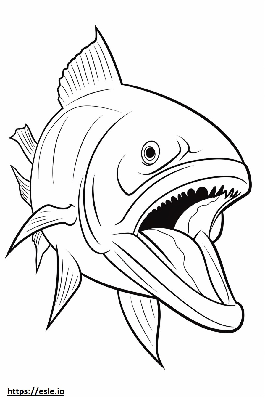 Wahoo Fish cute coloring page