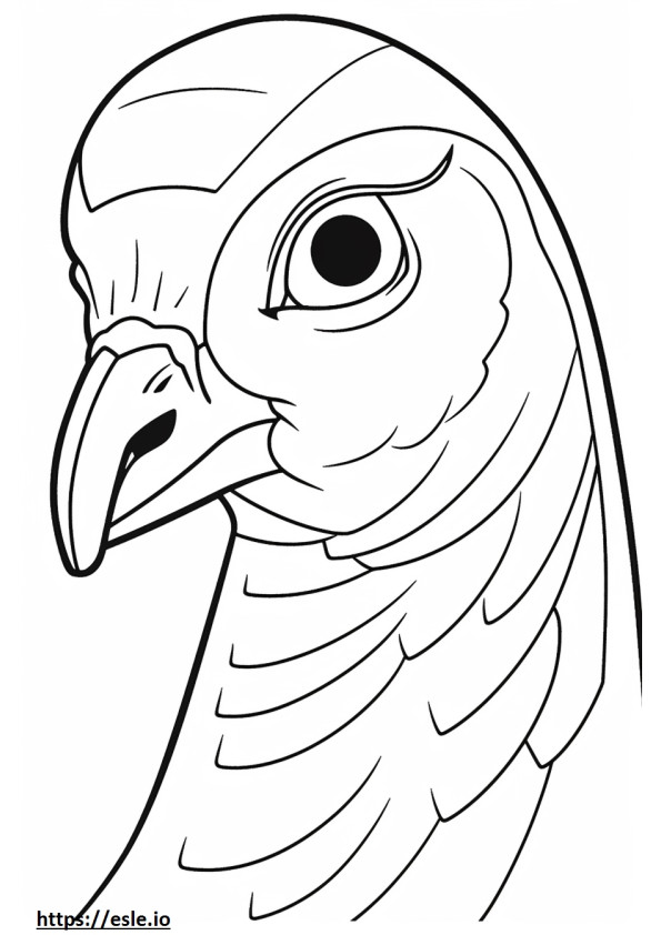 Partridge face coloring page