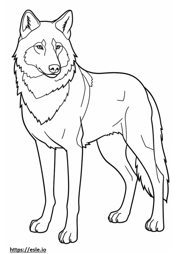 Coloriage Loup eurasien mignon à imprimer