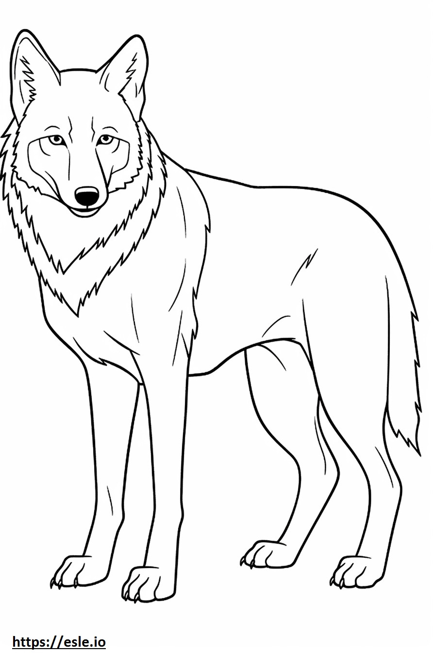 Eurasian Wolf cute coloring page