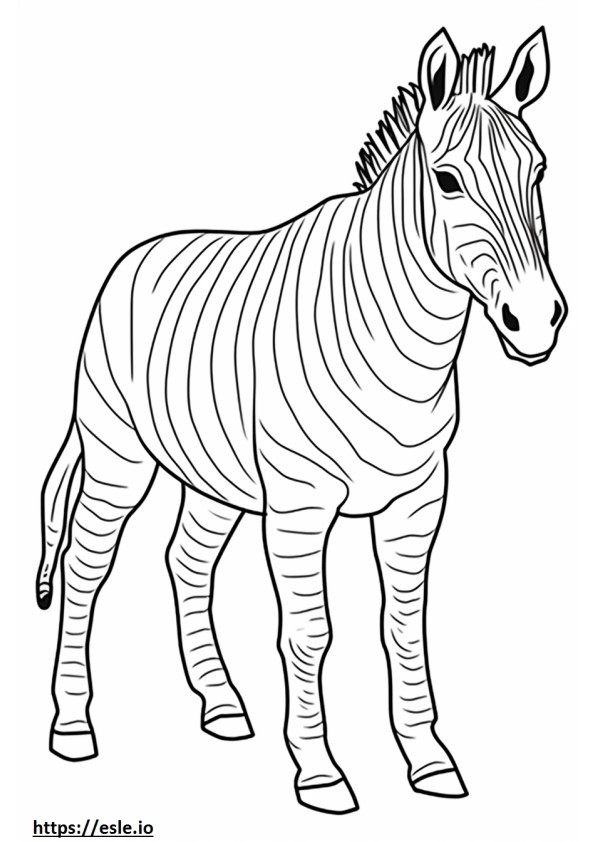 Zebra fofa para colorir